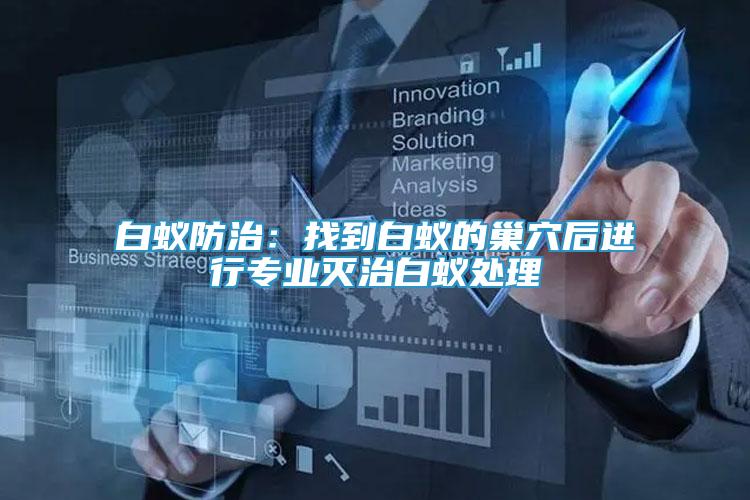 白蟻防治：找到白蟻的巢穴后進(jìn)行專業(yè)滅治白蟻處理