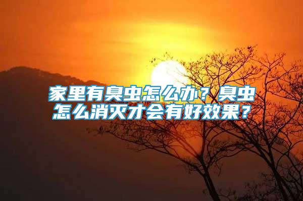 家里有臭蟲怎么辦？臭蟲怎么消滅才會有好效果？