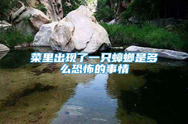 菜里出現(xiàn)了一只蟑螂是多么恐怖的事情