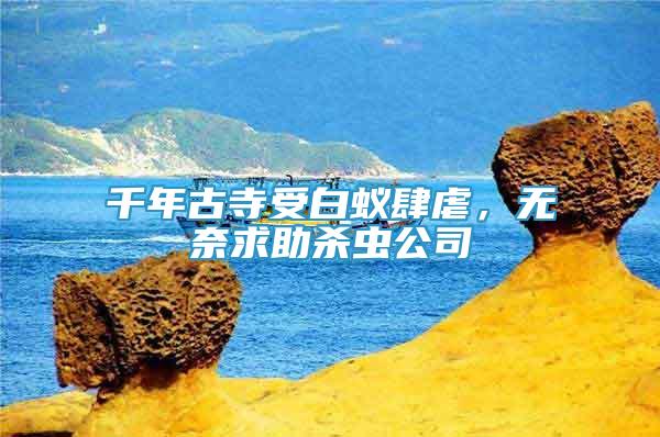 千年古寺受白蟻肆虐，無奈求助殺蟲公司
