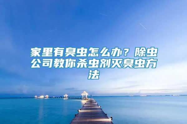 家里有臭蟲(chóng)怎么辦？除蟲(chóng)公司教你殺蟲(chóng)劑滅臭蟲(chóng)方法