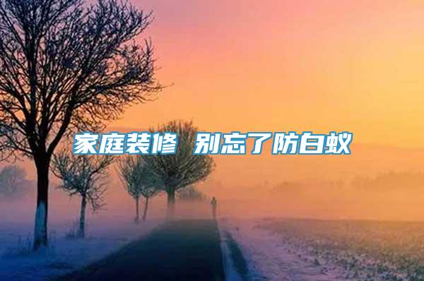 家庭裝修 別忘了防白蟻