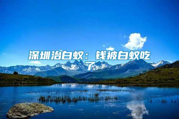 深圳治白蟻：錢被白蟻吃了