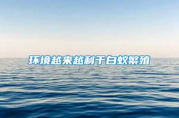 環(huán)境越來(lái)越利于白蟻繁殖