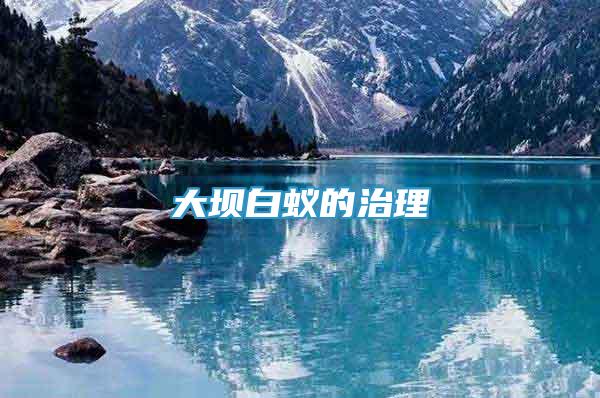 大壩白蟻的治理