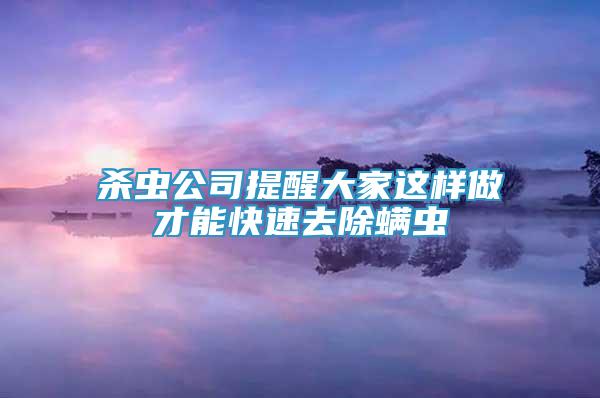 殺蟲公司提醒大家這樣做才能快速去除螨蟲