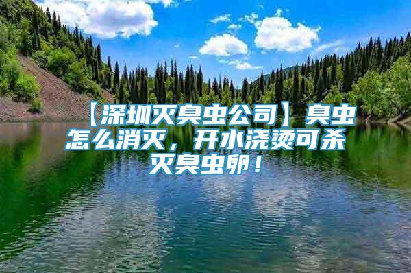 【深圳滅臭蟲公司】臭蟲怎么消滅，開水澆燙可殺滅臭蟲卵！