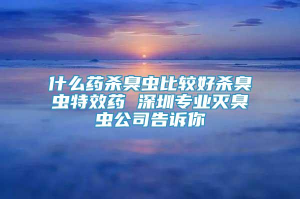 什么藥殺臭蟲比較好殺臭蟲特效藥 深圳專業(yè)滅臭蟲公司告訴你