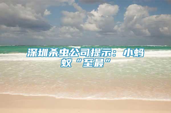 深圳殺蟲公司提示：小螞蟻“至最”