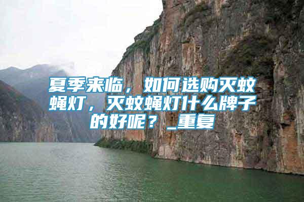 夏季來臨，如何選購滅蚊蠅燈，滅蚊蠅燈什么牌子的好呢？_重復