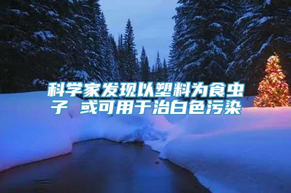 科學家發(fā)現(xiàn)以塑料為食蟲子 或可用于治白色污染