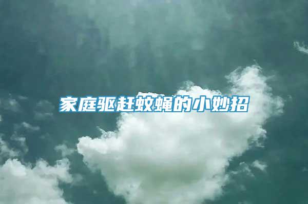家庭驅(qū)趕蚊蠅的小妙招