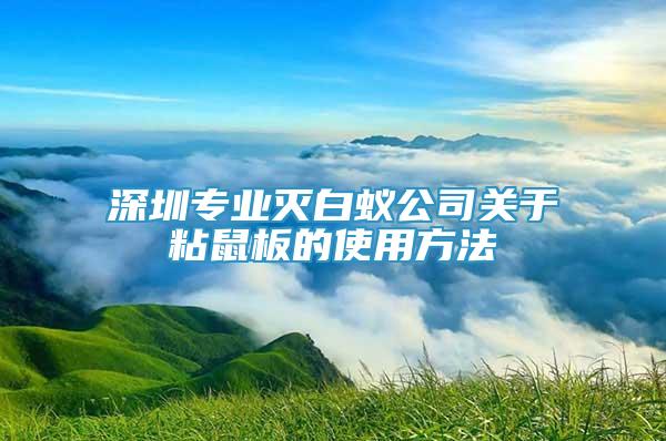 深圳專業(yè)滅白蟻公司關(guān)于粘鼠板的使用方法