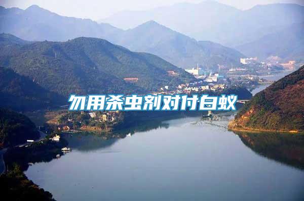 勿用殺蟲(chóng)劑對(duì)付白蟻