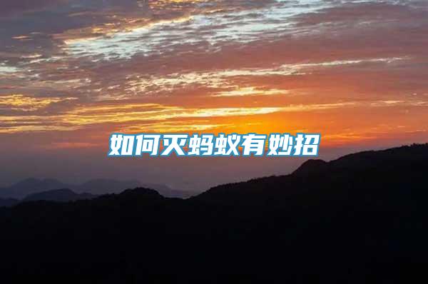 如何滅螞蟻有妙招