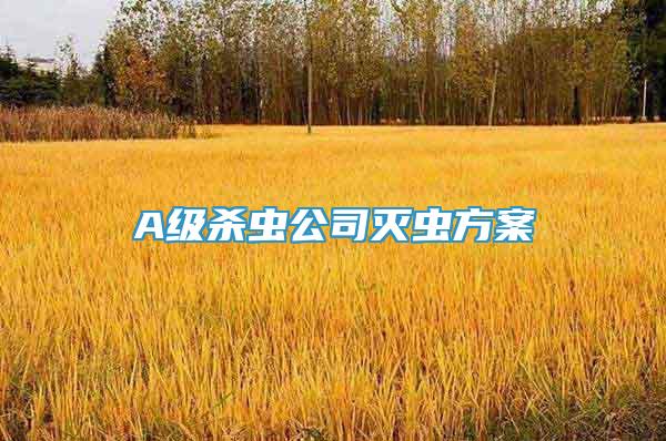 A級(jí)殺蟲公司滅蟲方案