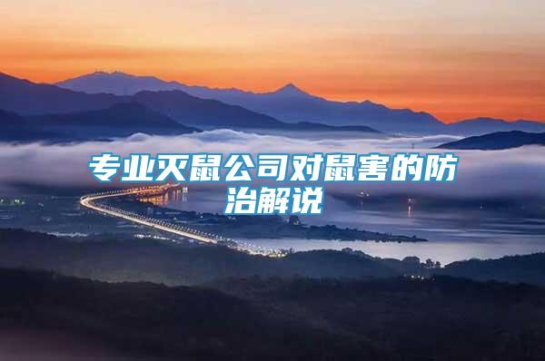 專業(yè)滅鼠公司對(duì)鼠害的防治解說