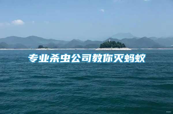 專業(yè)殺蟲公司教你滅螞蟻