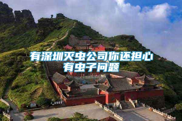有深圳滅蟲(chóng)公司你還擔(dān)心有蟲(chóng)子問(wèn)題