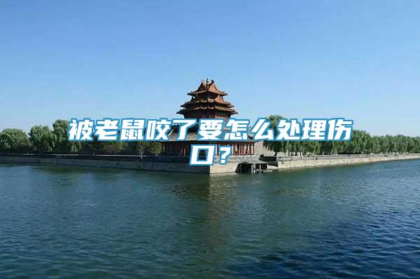 被老鼠咬了要怎么處理傷口？