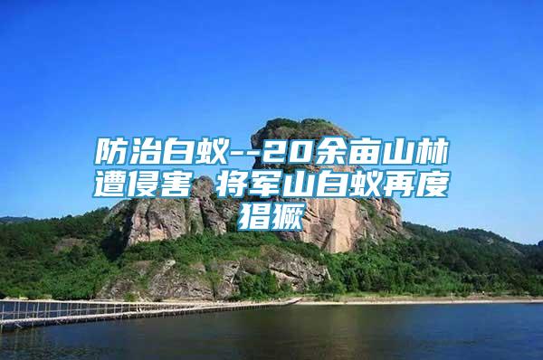防治白蟻--20余畝山林遭侵害 將軍山白蟻再度猖獗