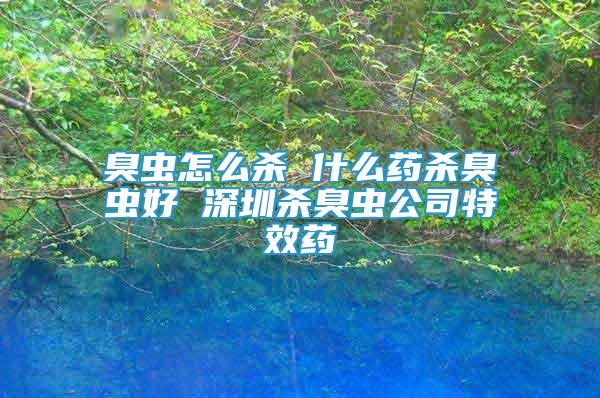 臭蟲怎么殺 什么藥殺臭蟲好 深圳殺臭蟲公司特效藥