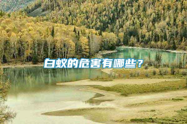 白蟻的危害有哪些？