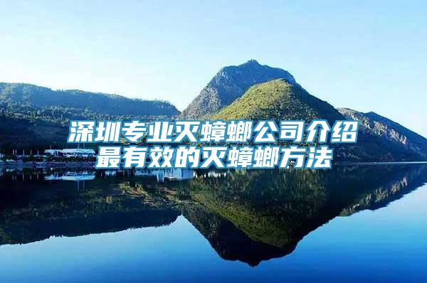 深圳專業(yè)滅蟑螂公司介紹最有效的滅蟑螂方法