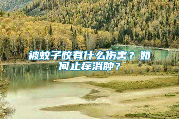 被蚊子咬有什么傷害？如何止癢消腫？