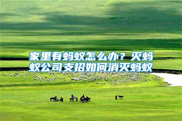 家里有螞蟻怎么辦？滅螞蟻公司支招如何消滅螞蟻