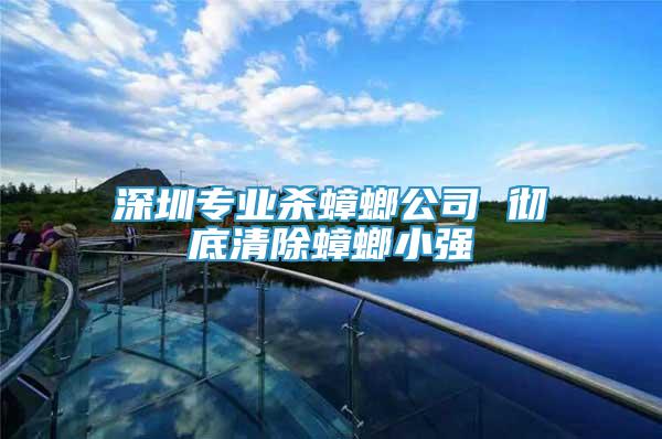 深圳專業(yè)殺蟑螂公司 徹底清除蟑螂小強