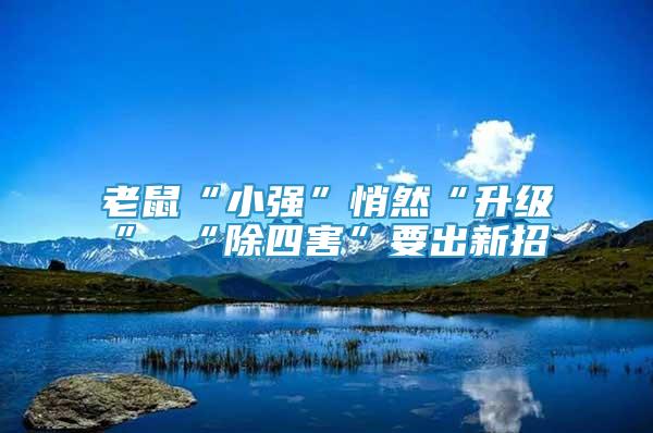 老鼠“小強”悄然“升級” “除四害”要出新招