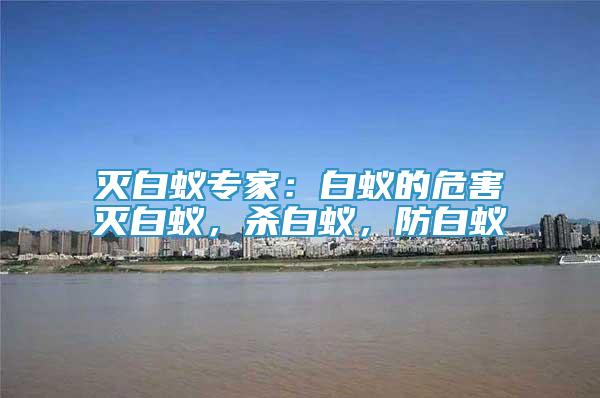 滅白蟻專家：白蟻的危害滅白蟻，殺白蟻，防白蟻