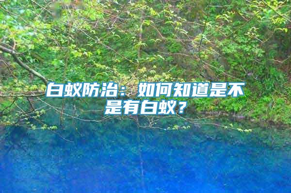 白蟻防治：如何知道是不是有白蟻？