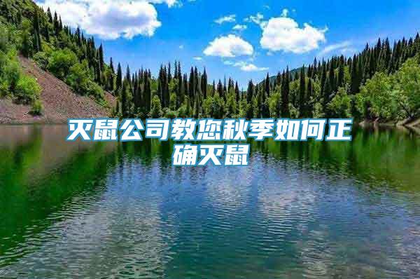 滅鼠公司教您秋季如何正確滅鼠