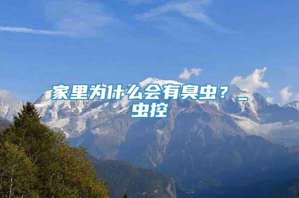 家里為什么會有臭蟲？_蟲控
