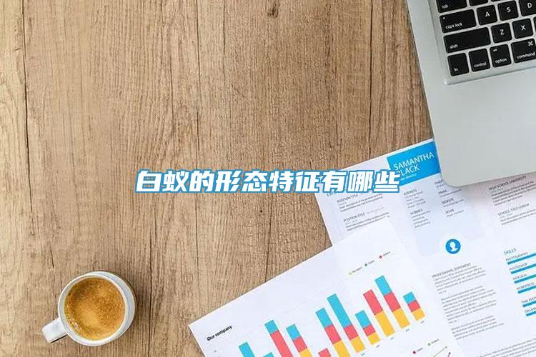 白蟻的形態(tài)特征有哪些