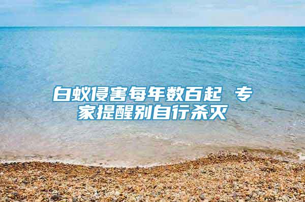 白蟻侵害每年數(shù)百起 專家提醒別自行殺滅