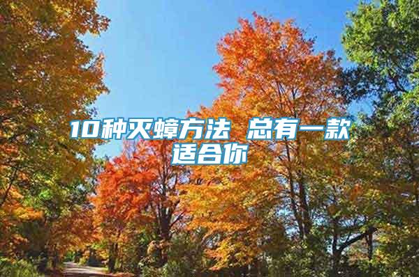 10種滅蟑方法 總有一款適合你