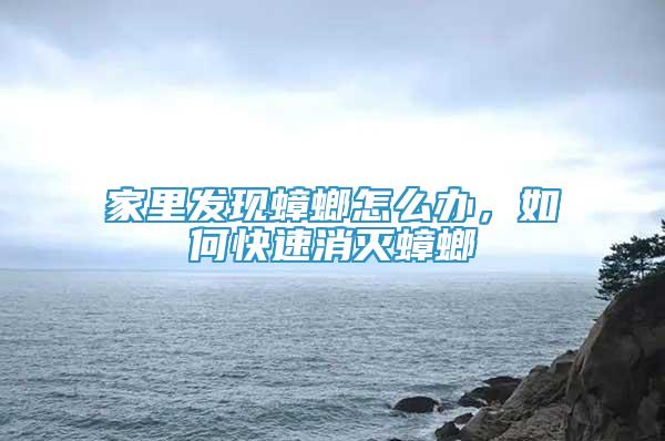 家里發(fā)現(xiàn)蟑螂怎么辦，如何快速消滅蟑螂