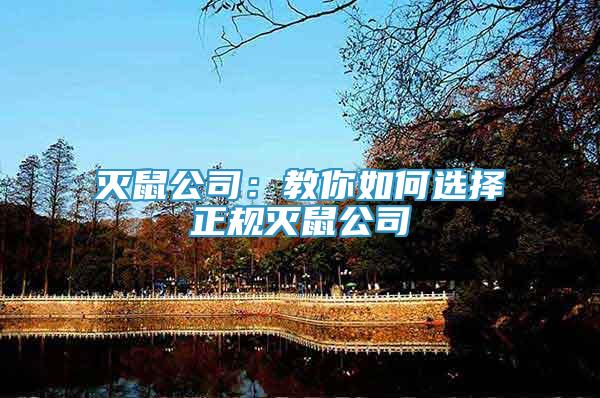 滅鼠公司：教你如何選擇正規(guī)滅鼠公司