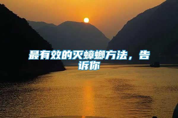 最有效的滅蟑螂方法，告訴你