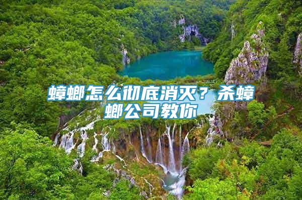 蟑螂怎么徹底消滅？殺蟑螂公司教你