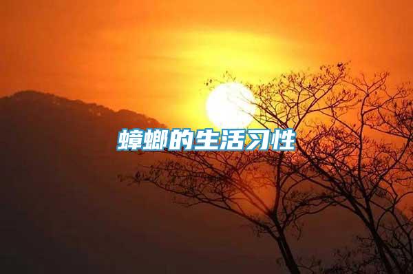 蟑螂的生活習(xí)性