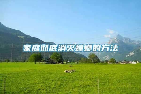 家庭徹底消滅蟑螂的方法