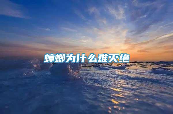蟑螂為什么難滅絕