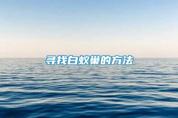 尋找白蟻巢的方法