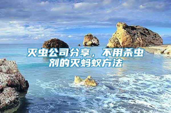 滅蟲公司分享，不用殺蟲劑的滅螞蟻方法