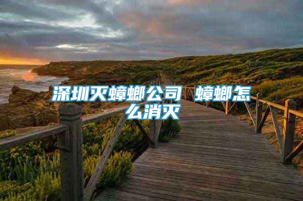 深圳滅蟑螂公司 蟑螂怎么消滅