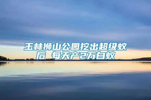 玉林獅山公園挖出超級蟻后 每天產(chǎn)2萬白蟻